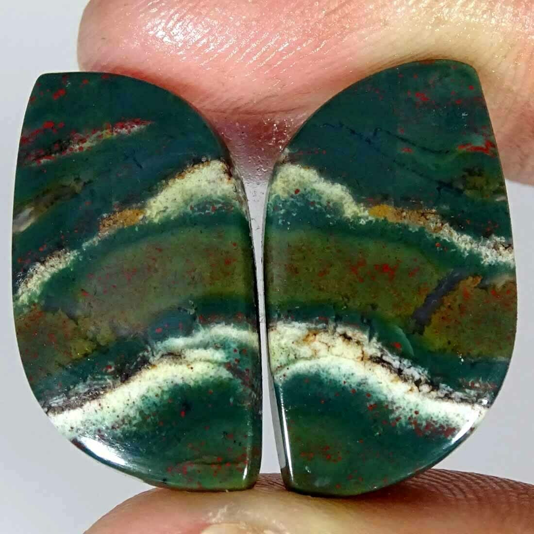 24.00cts Natural Bloodstone Fancy Pair Cabochon Loose Gemstone