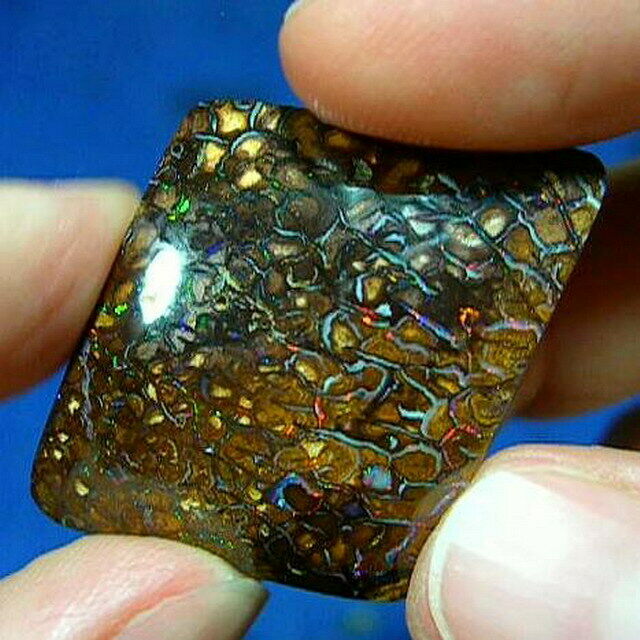 Electric Color-filled Veins * 56ct Natural Australian Solid Yowah Boulder Opal
