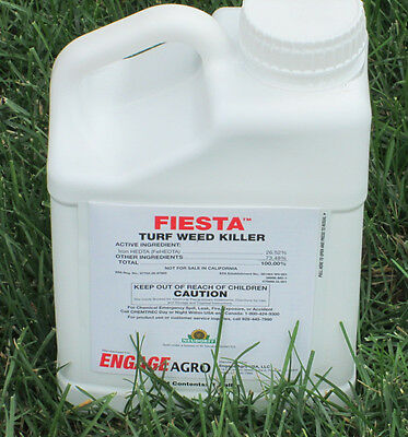 Iron X Based Broadleaf Weed Killer Safe For Kentucky Bluegrass Lawn Makes 26 Gal