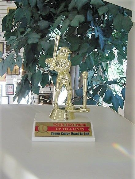 T-ball Baseball Trophy Trophies Male Or Female Team Color & Free Lettering!