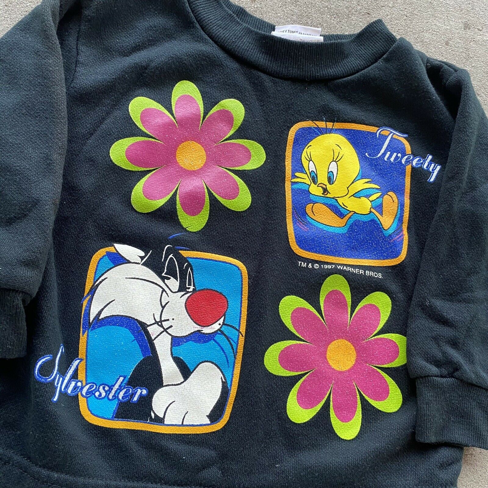 Vintage 1997 Looney Tunes Sylvester And Tweety Sweatshirt Size 2t