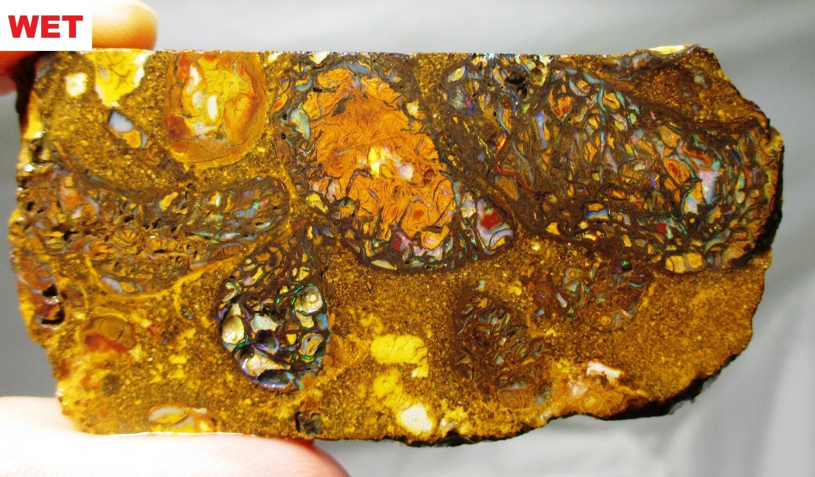Great 35.9 Gram Koroit Boulder Opal Rough Slab - Australia